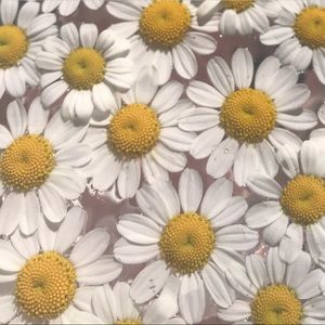 Meet your Posher, Julianne